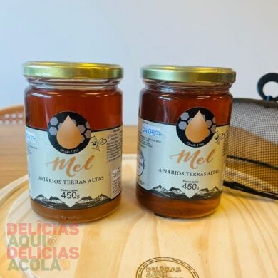 Mel Artesanal Silvestre Compota 450g