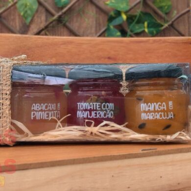 Kit com 4 Mini Geleias Me Lambuzei tradicional